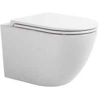 Унитаз Sintesi Evi SIN-TS-EVI-151WM подвесной Белый матовый с сиденьем Микролифт — фото 2, Подвесные унитазы