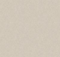 Обои LOYMINA Shade 2 SDR5 001/1 Винил на флизелине (1*10,05) Бежевый, Штукатурка — фото 2, Обои для стен