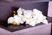 Зеркало Бриклаер Чили 55 4627125415043 с подсветкой Венге — фото 2, Мебель для ванной