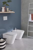 Унитаз Jacob Delafon Rodin+ EDAA102-00 приставной без сиденья — фото 5, Приставные унитазы