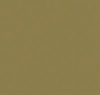 Обои LOYMINA Origins ALS10 005/1 Винил на флизелине (1*10,05) Зеленый/Бежевый, Рогожка — фото 2, Обои для стен