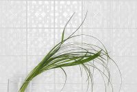 Керамическая плитка 41Zero42 SCB Path Bianco 4101014 настенная 15x15 см — фото 2, Керамогранит