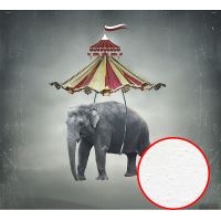 Фреска Ortograf Животные 10874 Фактура бархат FX Флизелин (3*2,7) Серый, Животные/Абстракция — фото 1, Фрески