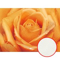 Фреска Ortograf Цветы 30415 Фактура флок FLK Флизелин (3,7*2,7) Оранжевый, Цветы — фото 1, Фрески