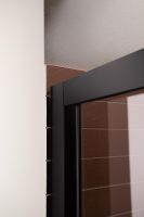 Душевая дверь Aquanet Pleasure AE60-N-150H200U-BT 150 273599 профиль Черный матовый стекло прозрачное — фото 9, Раздвижные душевые двери