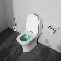 Унитаз компакт AM.PM Sense C748600SC с бачком и сиденьем Микролифт — фото 9, Напольные унитазы