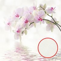 Товар: Фреска Ortograf Цветы 3040 Фактура флок FLK Флизелин (2,7*2,7) Белый/Розовый, Цветы - фото 1 Фреска Ortograf Цветы 3040 Фактура флок FLK Флизелин (2,7*2,7) Белый/Розовый, Цветы — фото 1, Фрески