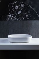 Товар: Раковина-чаша Allen Brau Fantasy 55 4.11022.21 Белая матовая - фото 4 Раковина-чаша Allen Brau Fantasy 55 4.11022.21 Белая матовая — фото 4, Раковины