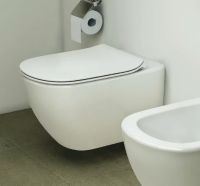 Товар: Комплект унитаза с инсталляцией Ideal Standard Tesi Aqua Blade TT00002/121AA с сиденьем Микролифт и клавишей смыва Хром - фото 10 Комплект унитаза с инсталляцией Ideal Standard Tesi Aqua Blade TT00002/121AA с сиденьем Микролифт и клавишей смыва Хром — фото 10, Унитазы