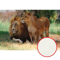 Фреска Ortograf Животные 30043 Фактура флок FLK Флизелин (4*2,7) Оранжевый/Зеленый, Животные — фото 1, Фрески