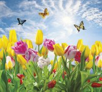 Фреска Ortograf Цветы 50046 Фактура бархат FX Флизелин (3*2,7) Разноцветный, Цветы/Бабочки — фото 2, Фрески