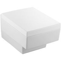 Унитаз Jacob Delafon Terrace EDA102-00 подвесной без сиденья — фото 1, Подвесные унитазы