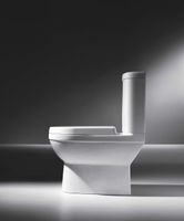 Товар: Унитаз компакт Bravat CX01019UW-P-RUS без бачка, с сиденьем Микролифт - фото 5 Унитаз компакт Bravat CX01019UW-P-RUS без бачка, с сиденьем Микролифт — фото 5, Унитазы