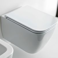 Унитаз Scarabeo Teorema 2.0 5126/CL подвесной без сиденья — фото 1, Подвесные унитазы