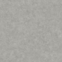Товар: Обои Caselio Beton 2 101489243 Винил на флизелине (0,53*10,05) Серый, Штукатурка - фото 1 Обои Caselio Beton 2 101489243 Винил на флизелине (0,53*10,05) Серый, Штукатурка — фото 1, Обои для стен