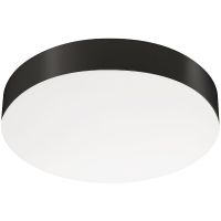 Потолочный светильник Arlight Emergency 042569 Белый/Черный — фото 1, Накладные светильники