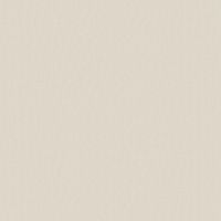 Обои LOYMINA Shade 2 SDR1 001/2 Винил на флизелине (1*10,05) Бежевый, Однотонные — фото 1, Обои для стен