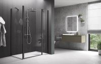 Душевая дверь Novellini Young 90 Y22P87-1H профиль Черный матовый стекло прозрачное — фото 3, Душевые двери в нишу