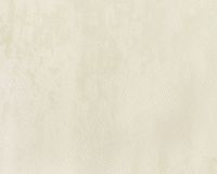 Обои Solo Elementary E300903 Винил на флизелине (1,06*10) Бежевый, Однотонные/Штукатурка — фото 2, Обои для стен