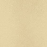 Обои Bernardo Bartalucci Legend Флизелин (1,06*10) Бежевый, Однотонные арт-5068-31 — фото 2, Обои