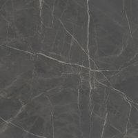 Керамогранит Kerama Marazzi Буонарроти серый темный обрезной SG642920R 60х60 см — фото 1, Керамогранит