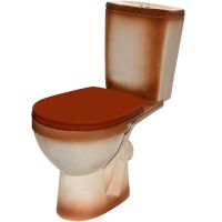 Унитаз компакт Rosa Рио 4640021065747 Коричневый декор с бачком и сиденьем — фото 1, Напольные унитазы