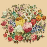 Фреска Ortograf Цветы 33480 Фактура флок FLK Флизелин (2,7*2,7) Бежевый/Разноцветный, Цветы — фото 2, Фрески