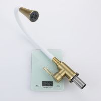 Смеситель для кухни Splenka S201.4308.03 Золото матовое Белый — фото 9, Смесители для кухни