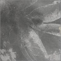 Керамическая плитка Ape Souk Kasbah Grey Mix настенная 13х13 см арт-KasbahGreyMix — фото 1, Керамическая плитка