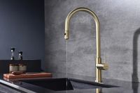 Смеситель для кухни Paulmark Galant Ga213077-SBG Светлое брашированное золото — фото 3, Смесители для кухни