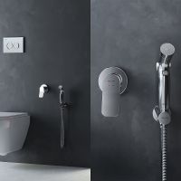 Комплект унитаза с инсталляцией AM.PM Inspire 2.0 CK50GD с сиденьем Микролифт с клавишей смыва Хром с гигиеническим душем и аксессуарами для ванной комнаты — фото 15, Комплекты унитаз + инсталляция