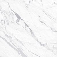 Керамогранит NewTrend Pegas Silver GP40PEG15R 60х60 см — фото 1, Керамогранит