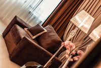 Торшер Maytoni Elegant Grace ARM247-11-G Белый — фото 6, Торшеры