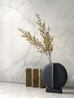 Керамогранит La Faenza Aesthetica AeCal612Lp 60х120 см — фото 2, Керамогранит