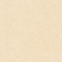 Товар: Обои Caselio Beton 2 101481247 Винил на флизелине (0,53*10,05) Бежевый, Штукатурка - фото 1 Обои Caselio Beton 2 101481247 Винил на флизелине (0,53*10,05) Бежевый, Штукатурка — фото 1, Обои для стен
