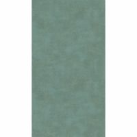 Обои Casadeco Palazzo 83657430 Винил на флизелине (0,53*10,05) Зеленый, Штукатурка — фото 1, Обои для стен