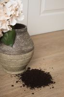 Виниловый ламинат Respect Floor SPC 4202 Дуб Золотистый 1220х184х5 мм — фото 3, Виниловый ламинат