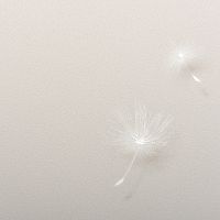 Обои Andrea Rossi Gavi 54368-1 Винил на флизелине (1,06*10) Бежевый/Белый, Листья/Цветы — фото 2, Обои для стен