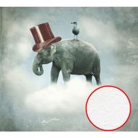 Фреска Ortograf Животные 10875 Фактура бархат FX Флизелин (3*2,7) Серый, Животные/Птицы/Абстракция — фото 1, Фрески