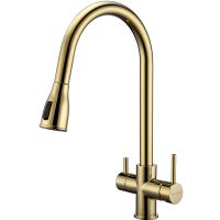 Смеситель для кухни Paulmark Lange La214212-G Золото — фото 1, Смесители для кухни