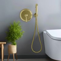 Гигиенический душ со смесителем Aquatek Классик Полированное золото арт-AQ1519PG — фото 2, Гигиенические души