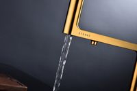 Смеситель для кухни Paulmark Tornado To213402-BG Брашированное золото — фото 13, Смесители для кухни