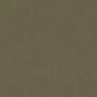 Обои RASCH Garden 330120 Винил на флизелине (0,53*10,05) Зеленый/Коричневый, Однотонные/Рогожка — фото 1, Обои для стен