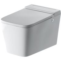 Унитаз Grossman GR-5501 подвесной с сиденьем Микролифт — фото 1, Унитазы