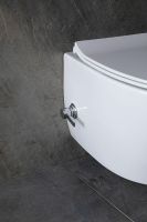 Товар: Унитаз биде Allen Brau Fantasy 4.11HC1.20 подвесной Белый без сиденья - фото 11 Унитаз биде Allen Brau Fantasy 4.11HC1.20 подвесной Белый без сиденья — фото 11, Унитазы