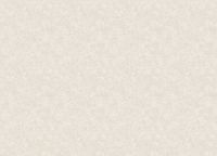 Обои Yasham Mirage S-20519-1 Винил на флизелине (1,06*10,05) Бежевый, Однотонные/Штукатурка — фото 2, Обои для стен