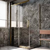 Товар: Душевая стенка Veconi Premium Trento SP-40G 90 SP40-G-90-01-C4 профиль Брашированное золото стекло прозрачное - фото 2 Душевая стенка Veconi Premium Trento SP-40G 90 SP40-G-90-01-C4 профиль Брашированное золото стекло прозрачное — фото 2, Боковые стенки