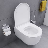 Товар: Унитаз Damixa Sirius DX86C1700SC подвесной с сиденьем Микролифт - фото 9 Унитаз Damixa Sirius DX86C1700SC подвесной с сиденьем Микролифт — фото 9, Унитазы