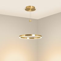 Подвесной светильник Arlight Congo 046209 Золото — фото 2, Подвесные светильники