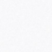 Обои Bernardo Bartalucci Bigi 5067-1 Флизелин (1,06*10) Белый, Штукатурка — фото 1, Обои для стен